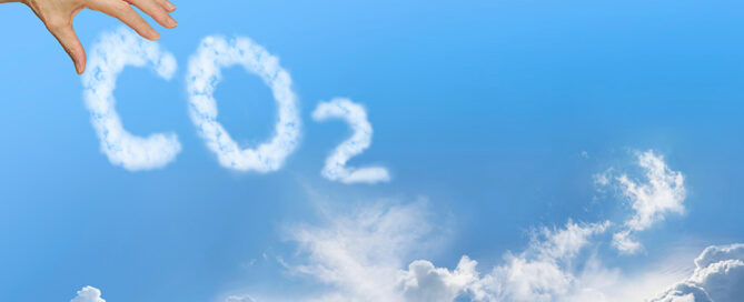 Environmental Benefits of Mobile Storage: Your Carbon Footprint